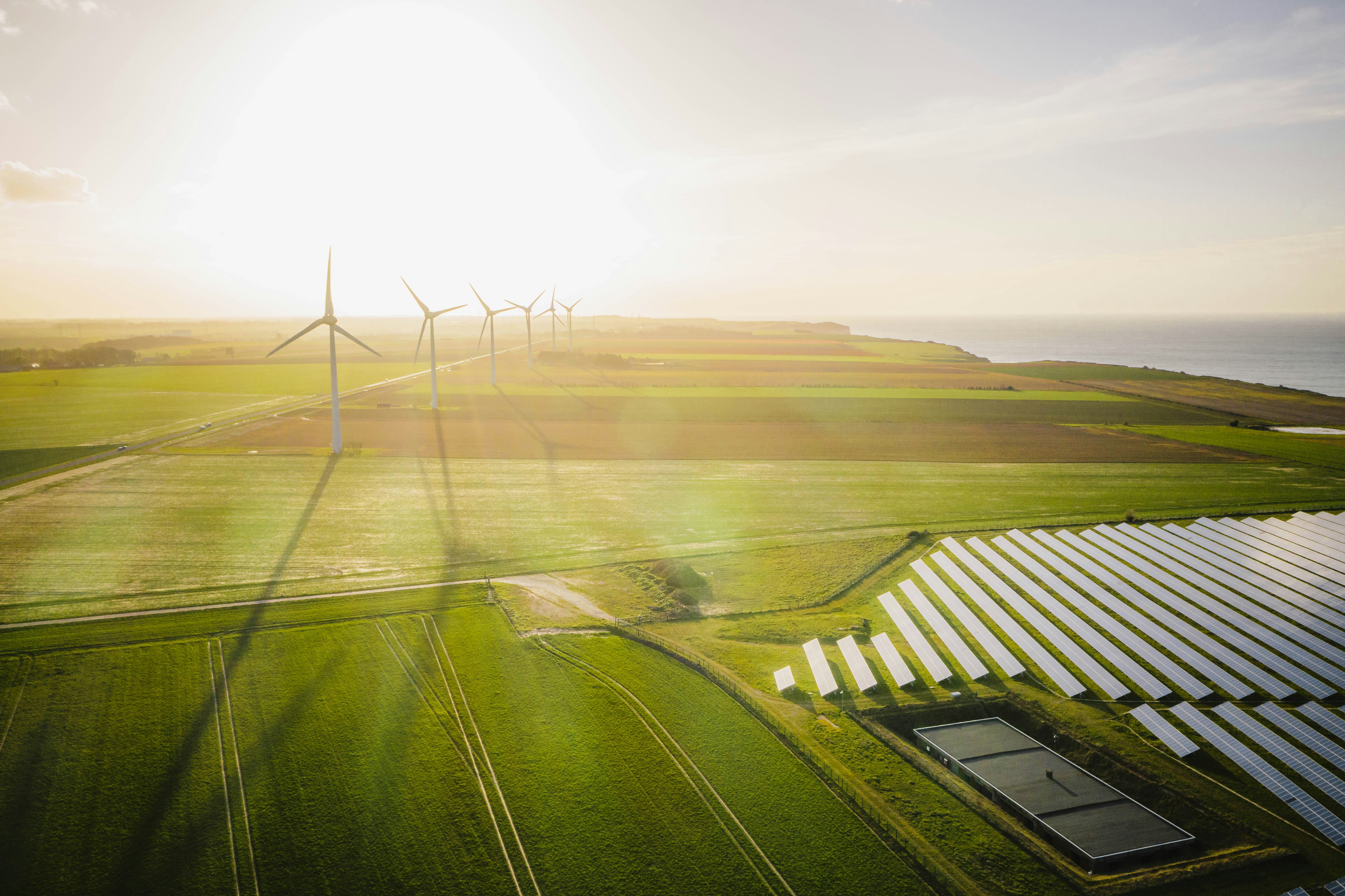 National Talent Academies | Sustainability Day 